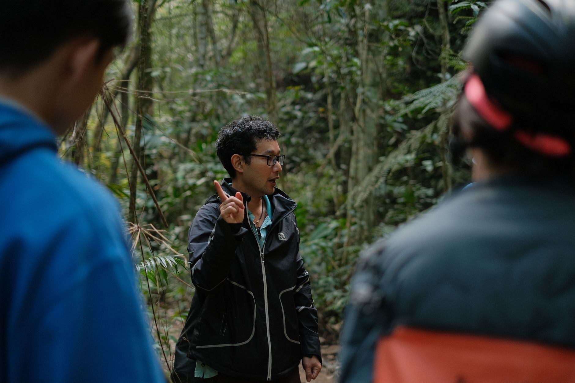 Acompanhamento próximo de guia especialista local em trilhas ecológicas